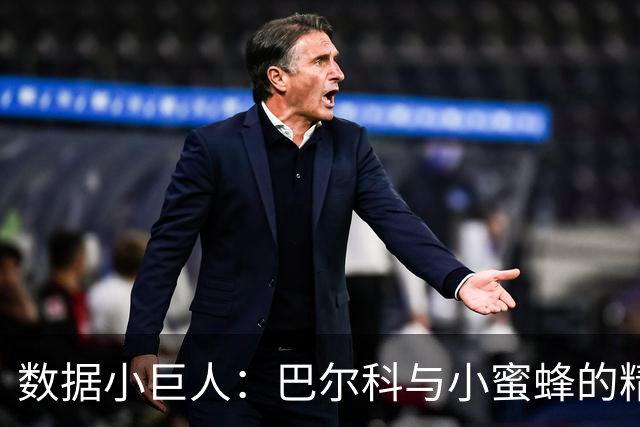 数据小巨人：巴尔科与小蜜蜂的精彩对决